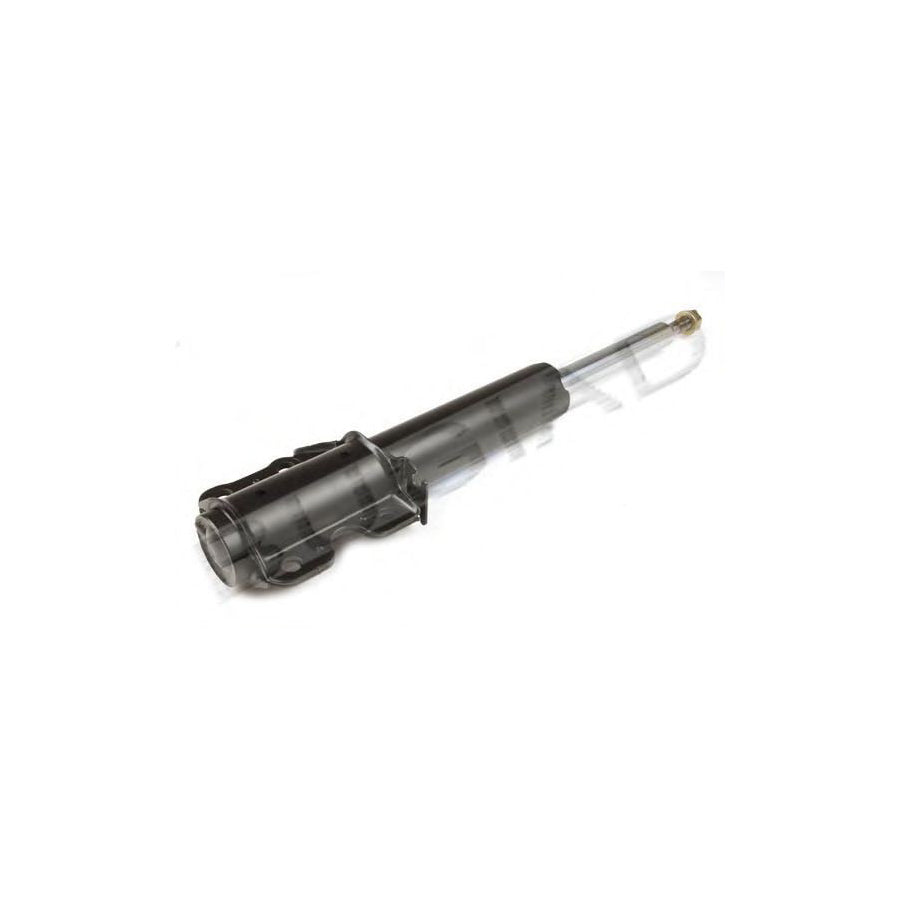 BUGIAD Bsp22433 Shock Absorber