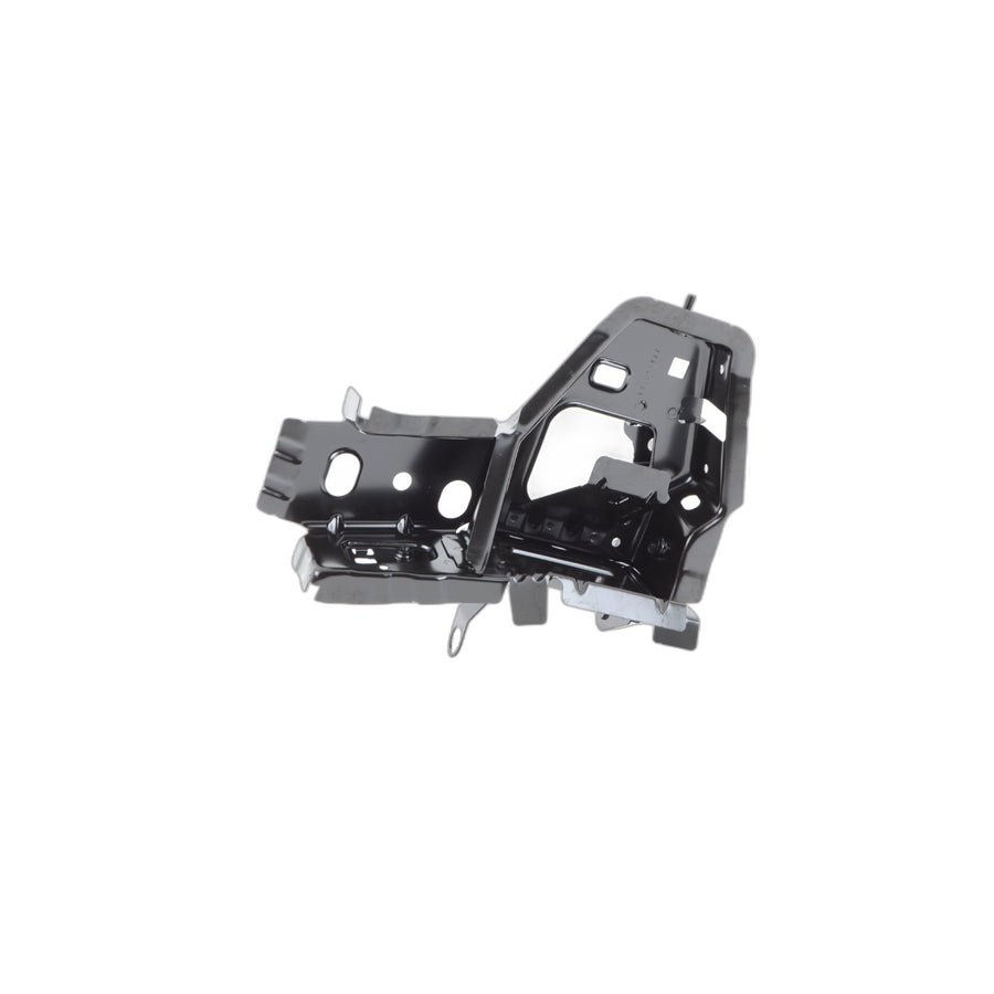 Genuine BMW 41117377785 E71 F16 Section Of Left Front Wheel Housing (Inc. X5 25d, X5 35iX & X6 35dX) | ML Performance US Car Parts
