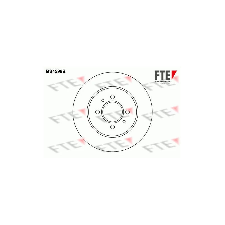 FTE Bs4599B Brake Disc