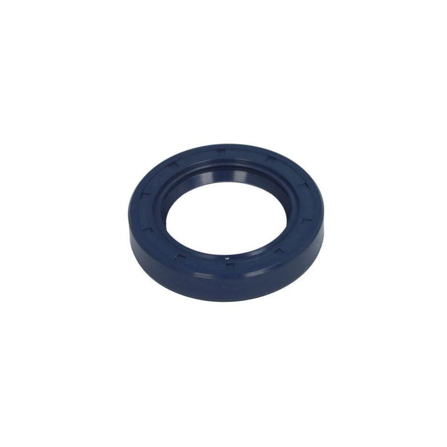BTA B05-Ag-368 Gasket, Differential