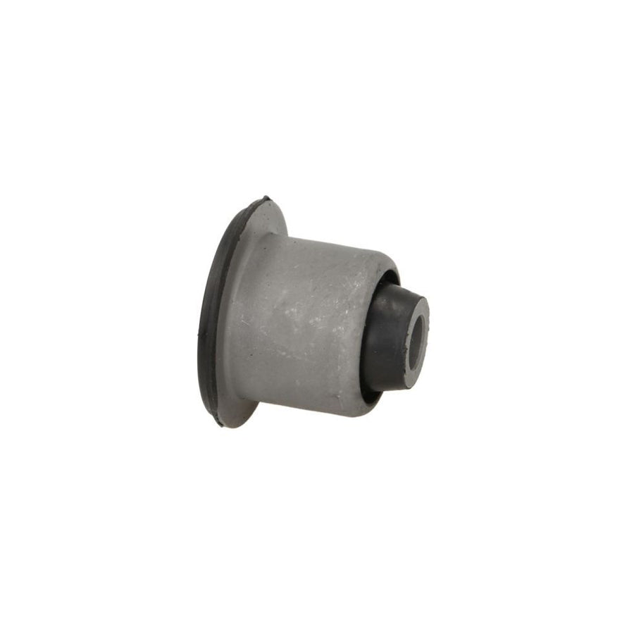 Reinhoch Rh142024 Control Arm / Trailing Arm Bush