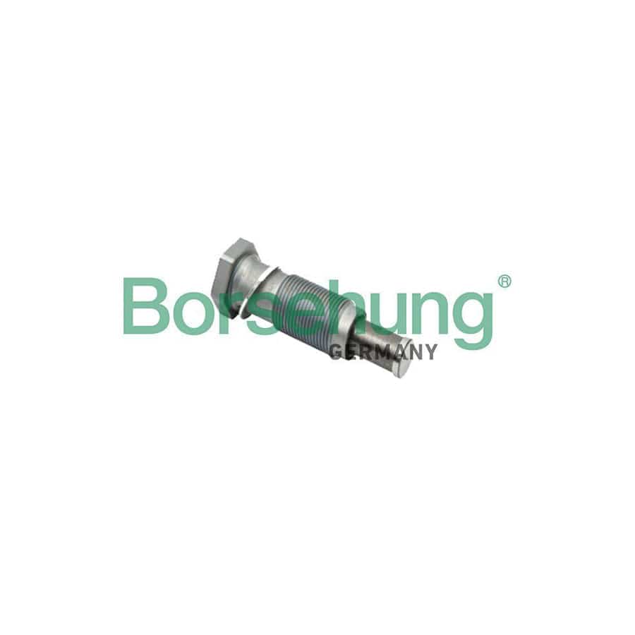 Borsehung B1T002 Timing Chain Tensioner