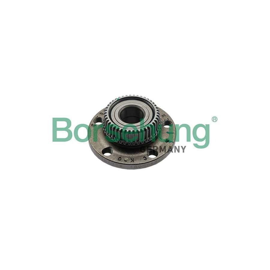 Borsehung B15623 Wheel Bearing Kit