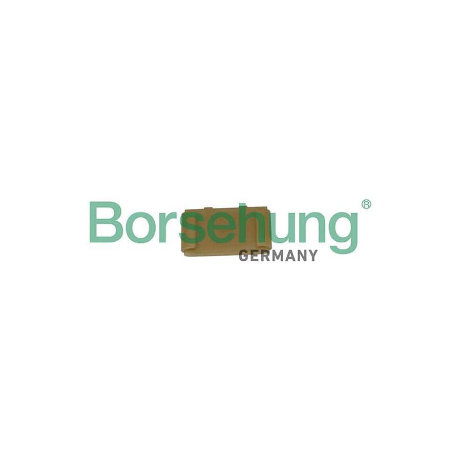 Borsehung B1G043 Guides, Timing Chain