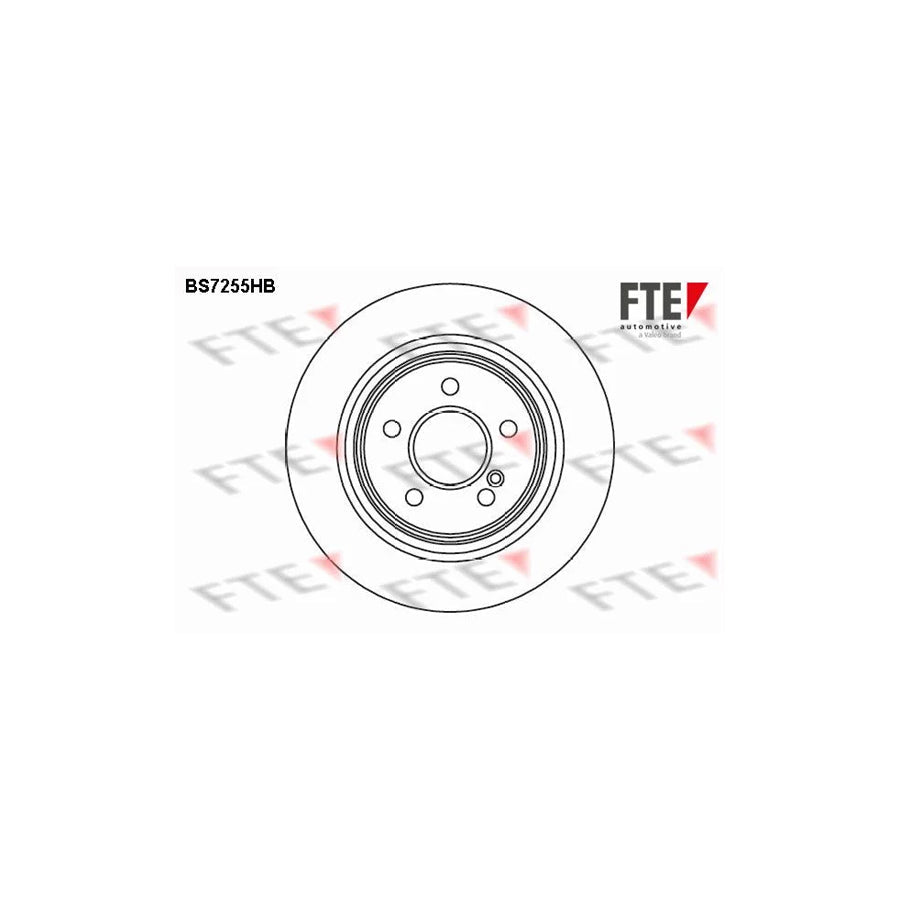 FTE Bs7255Hb Brake Disc
