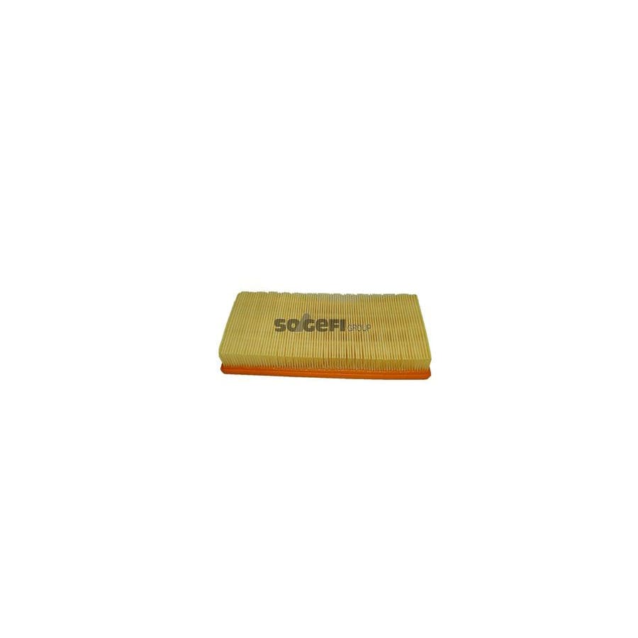 Fram CA3660 Air Filter