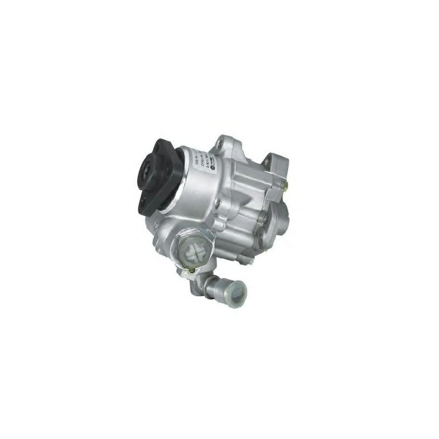BUGIAD Bsp20827 Power Steering Pump