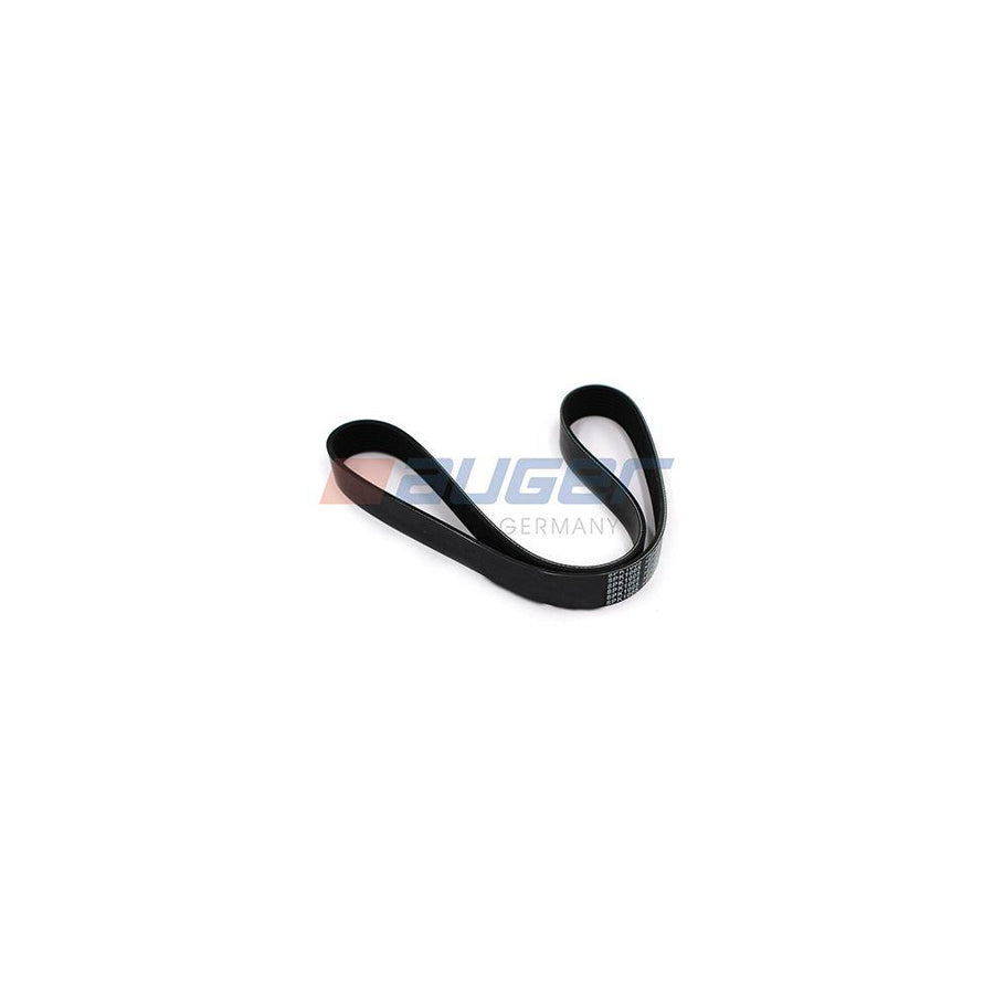 Auger 80062 V-Ribbed Belt