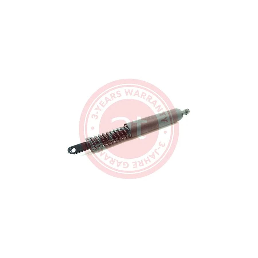 at autoteile germany At11919 Tailgate Strut for BMW 5 Saloon (E39)