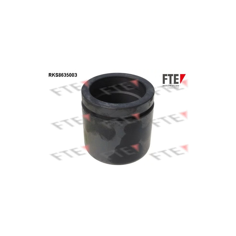 FTE Rks8635003 Piston, Brake Caliper for KIA Clarus
