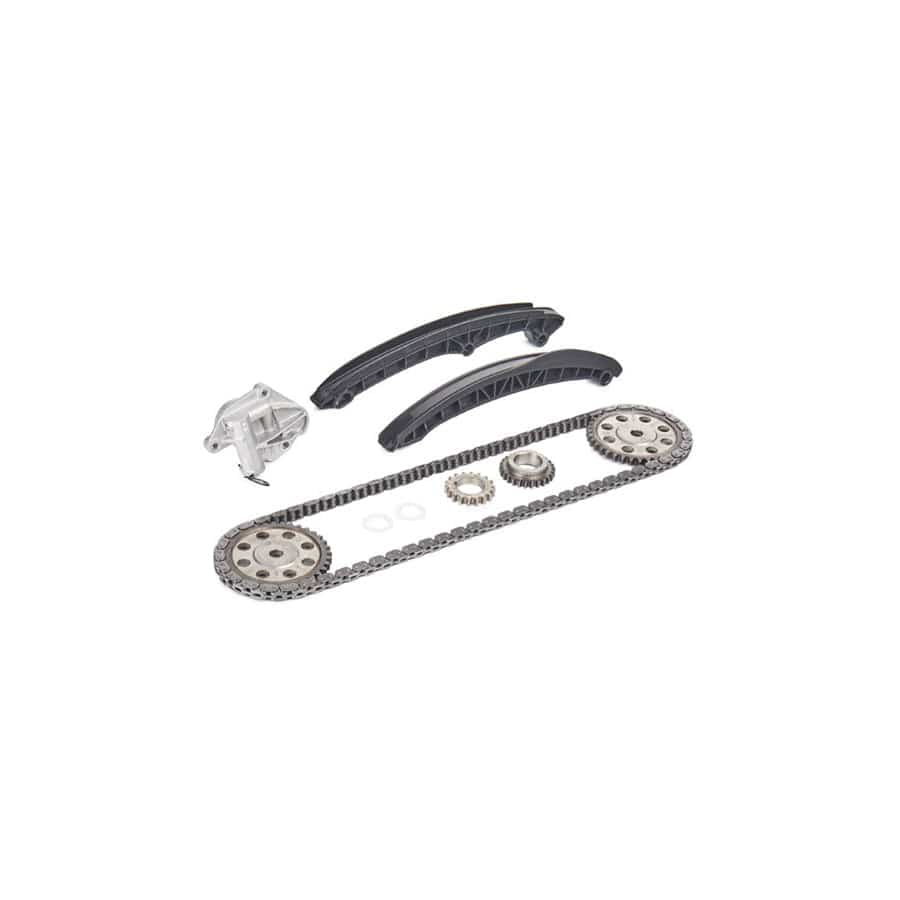 Borsehung B16296 Timing Chain Kit