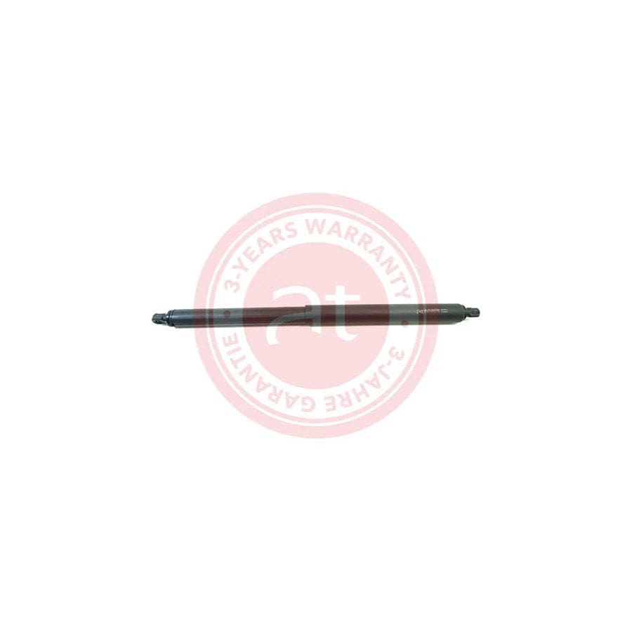at autoteile germany At11913 Tailgate Strut for BMW X5 (E70)