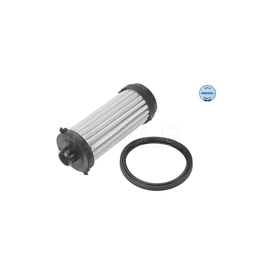 Meyle 014 136 0002 Hydraulic Filter, Automatic Transmission