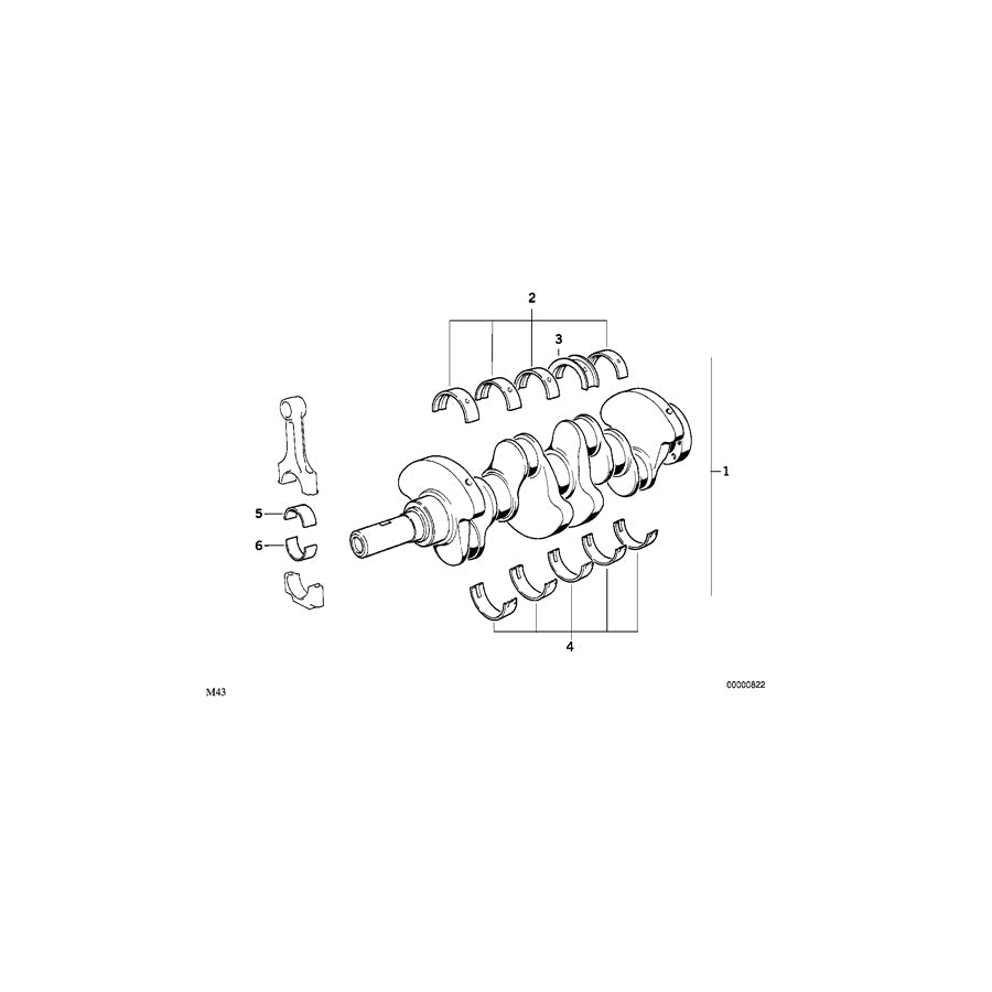 Genuine BMW 11211743462 E66 E38 E36 Guide-Bearing Shell White 59,75MM(+0,25) (Inc. 330xi, 520d & Z3 1.9) | ML Performance US Car Parts