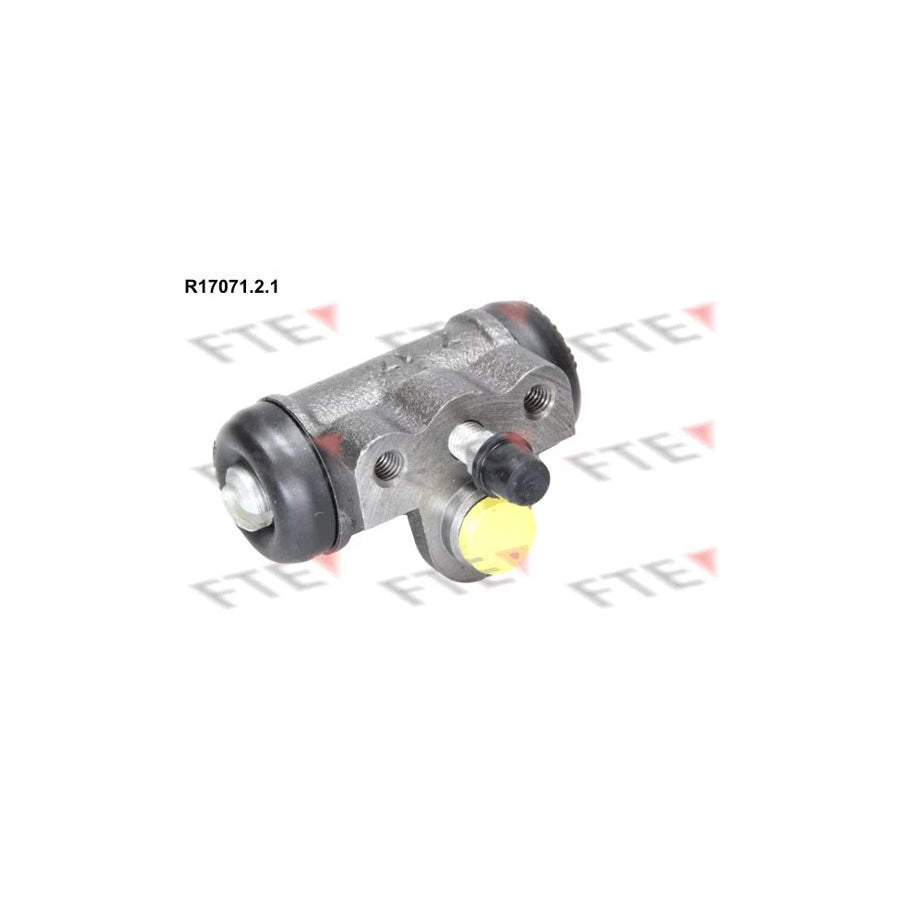 FTE R17071.2.1 Wheel Brake Cylinder