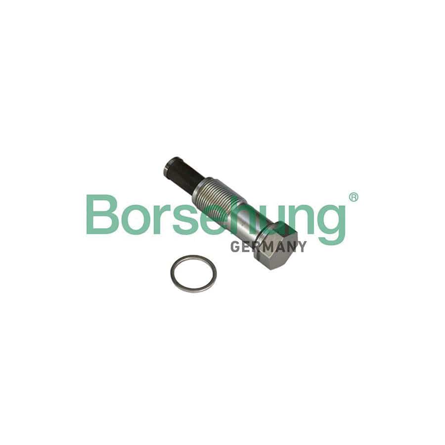 Borsehung B1T020 Timing Chain Tensioner