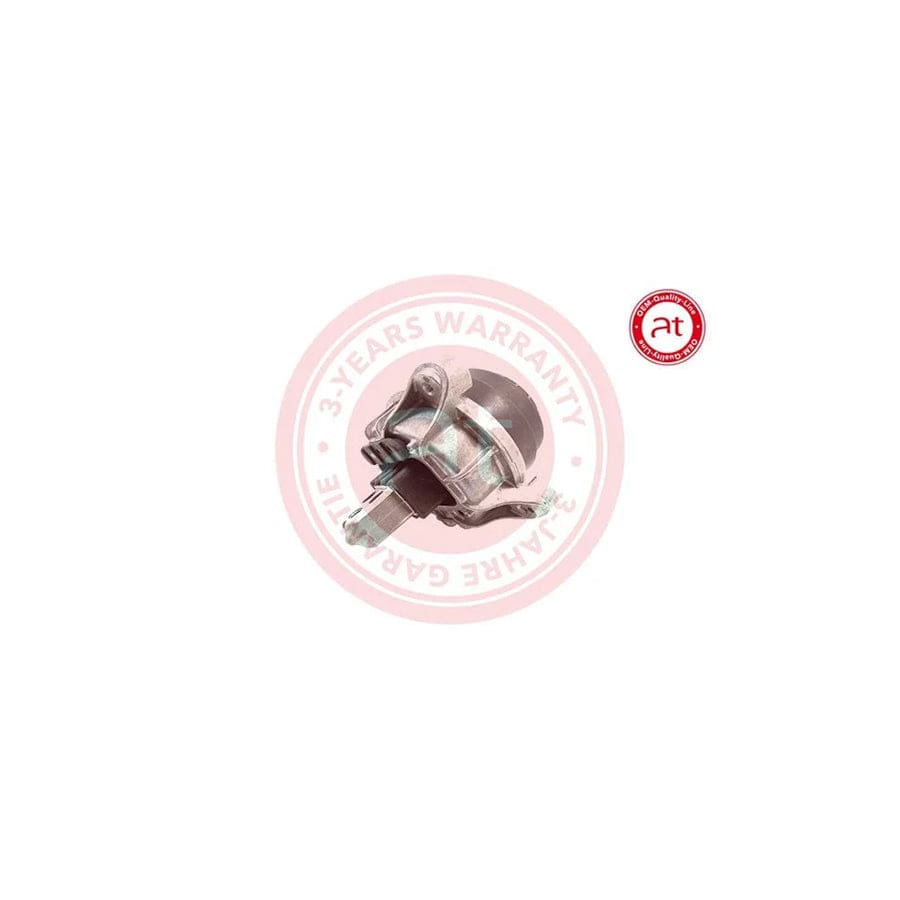 at autoteile germany At12192 Engine Mount for BMW 5 Series