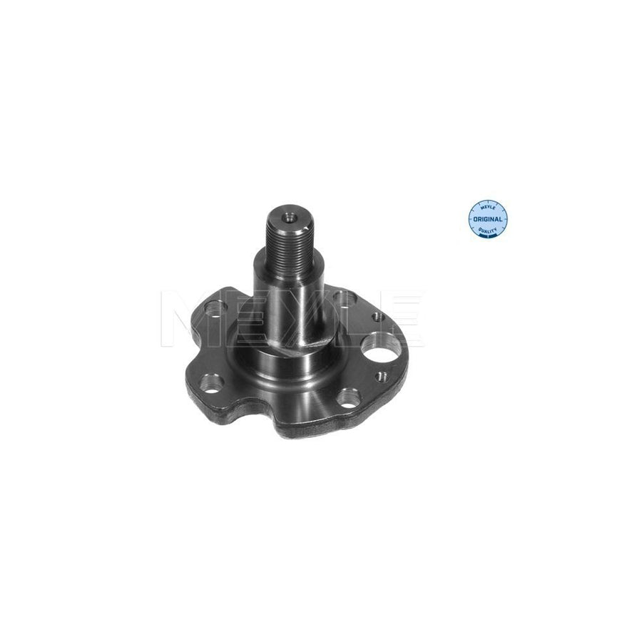 Meyle 100 501 0029 Wheel Hub
