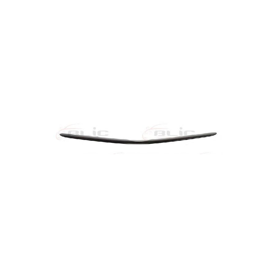 Blic 6502-07-8198210P Trim / Protective Strip, Radiator Grille For Toyota Prius II Liftback (Xw20)