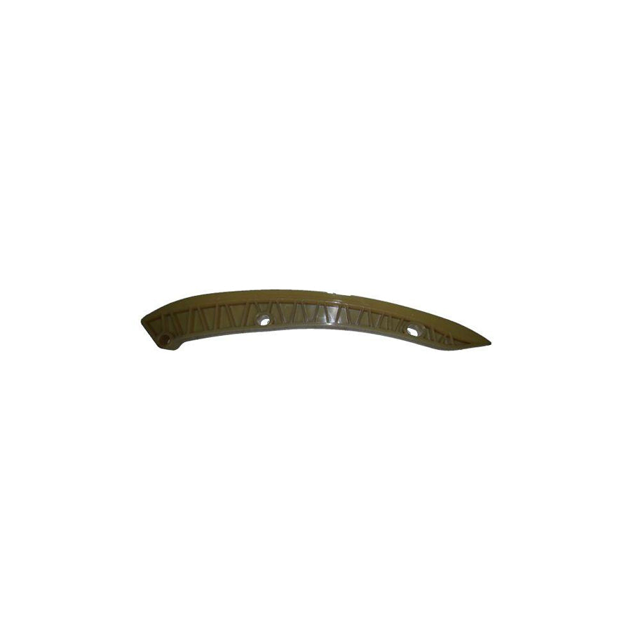 BUGIAD Bsp24667 Guides, Timing Chain
