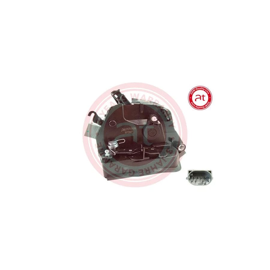 at autoteile germany At12687 Door Lock for BMW X5 (E53)