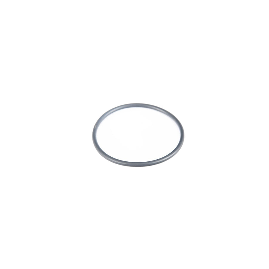 Genuine BMW 61357684057 F07 O-Ring 70X4mm (Inc. 535d) | ML Performance US Car Parts