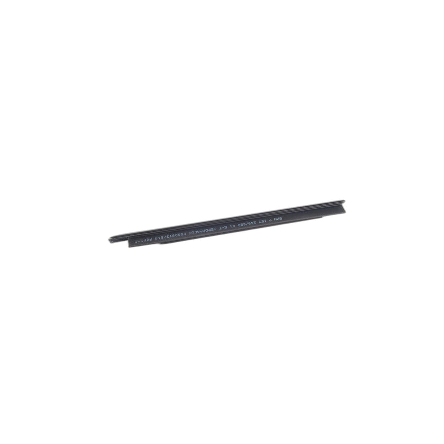 Genuine BMW 51338036663 E93 E92 Outer Weatherstrip, Left GLANZSCHWARZ (Inc. 328i, 335is & 330d) | ML Performance US Car Parts