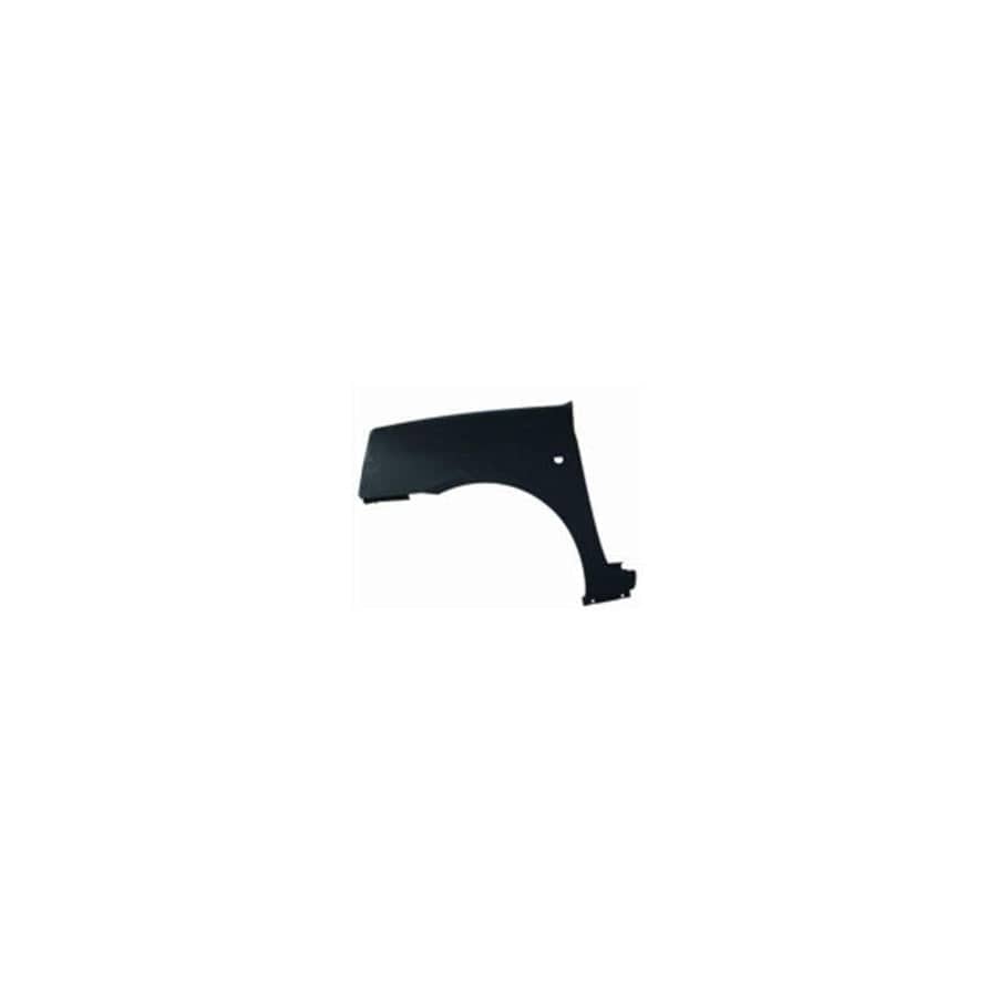 Abakus 04232211 Wing Fender for Renault Clio