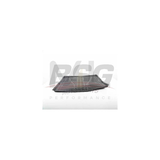 BSG BSG 30-935-040 Car boot tray