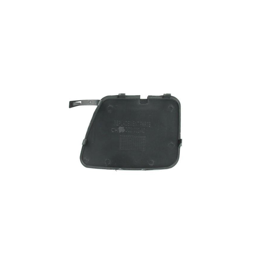 Blic 5513-00-1301970P Flap, Tow Hook