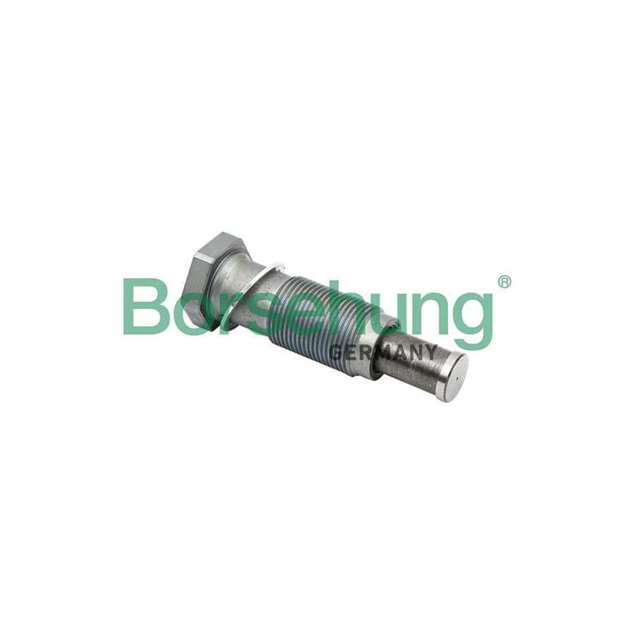 Borsehung B1T012 Timing Chain Tensioner