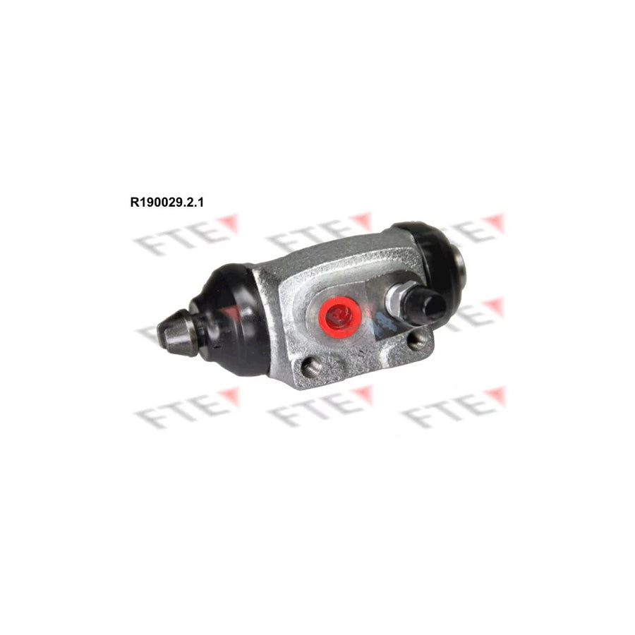FTE R190029.2.1 Wheel Brake Cylinder