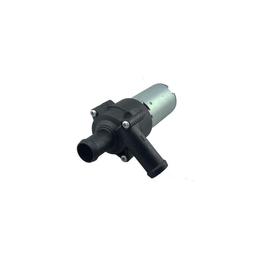 BUGIAD Bwp52003 Additional Water Pump