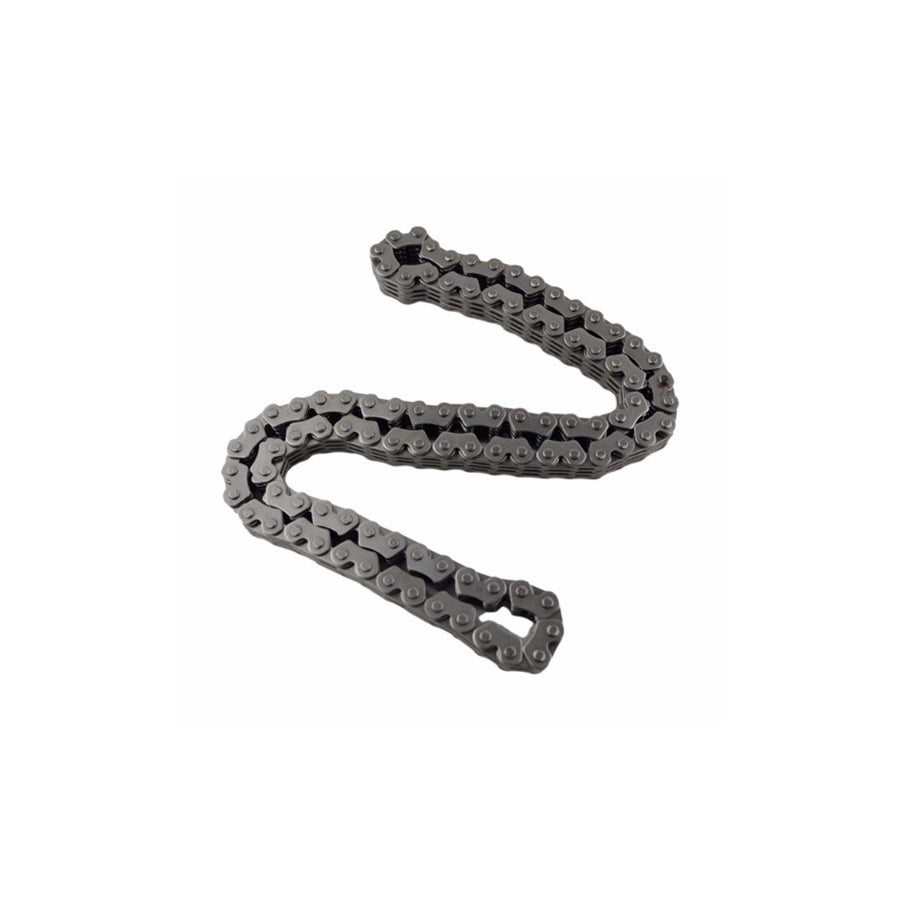 BUGIAD Bsp24716 Timing Chain Kit