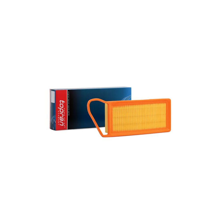 Topran 302 125 Air Filter