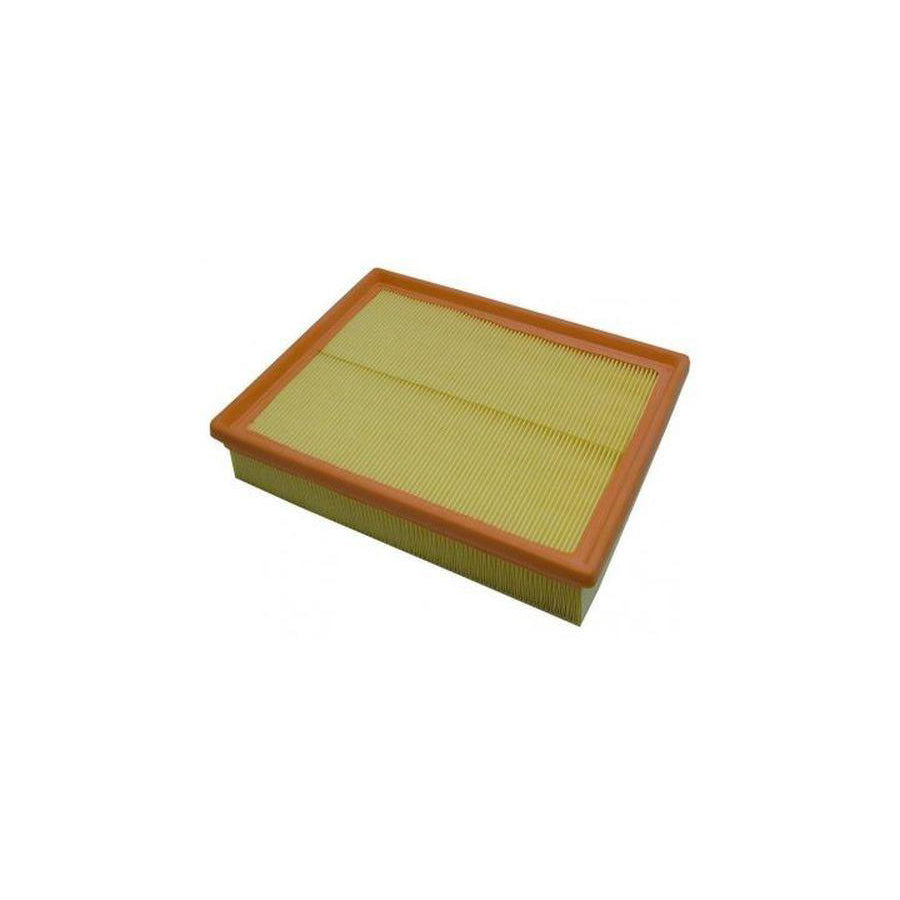 BUGIAD Bsp20854 Air Filter