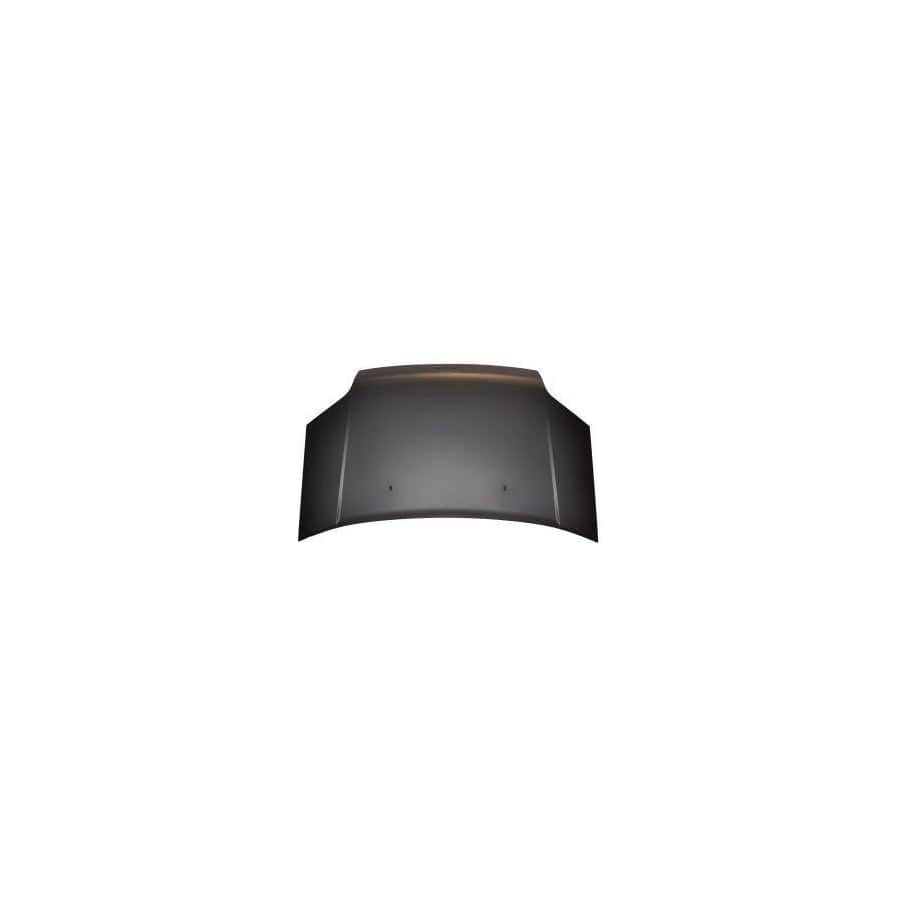 Abakus 01742100 Bonnet for Ford Transit Connect Mk1 Van