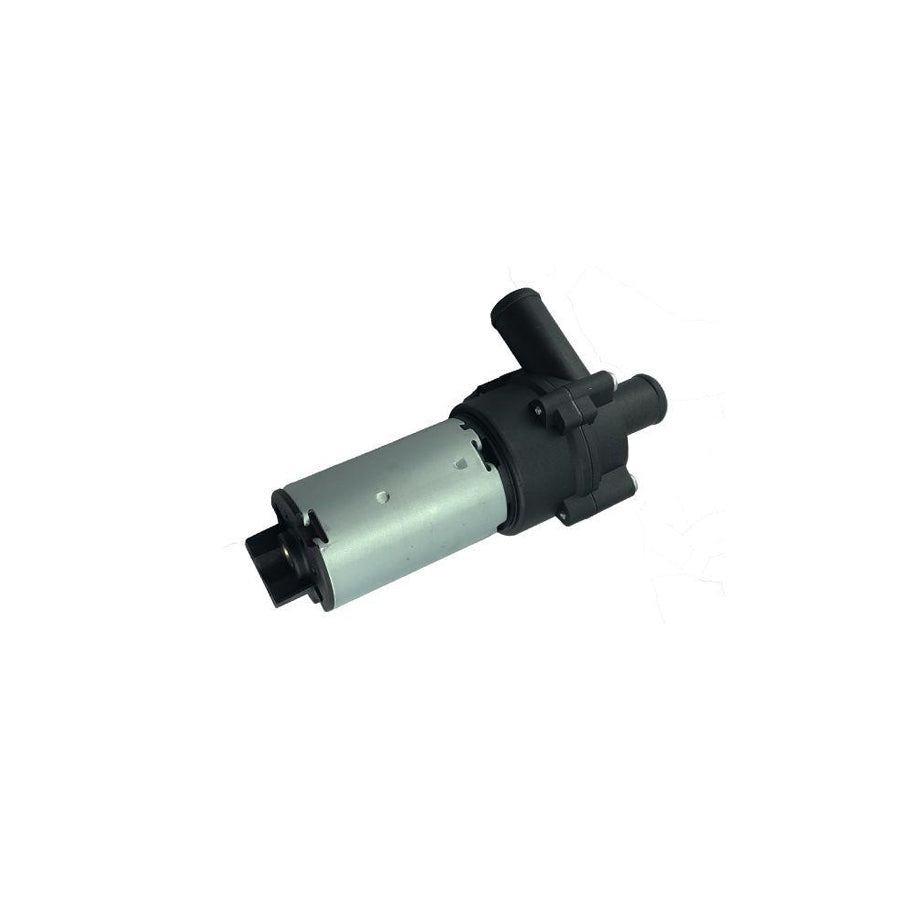 BUGIAD Bwp52002 Additional Water Pump