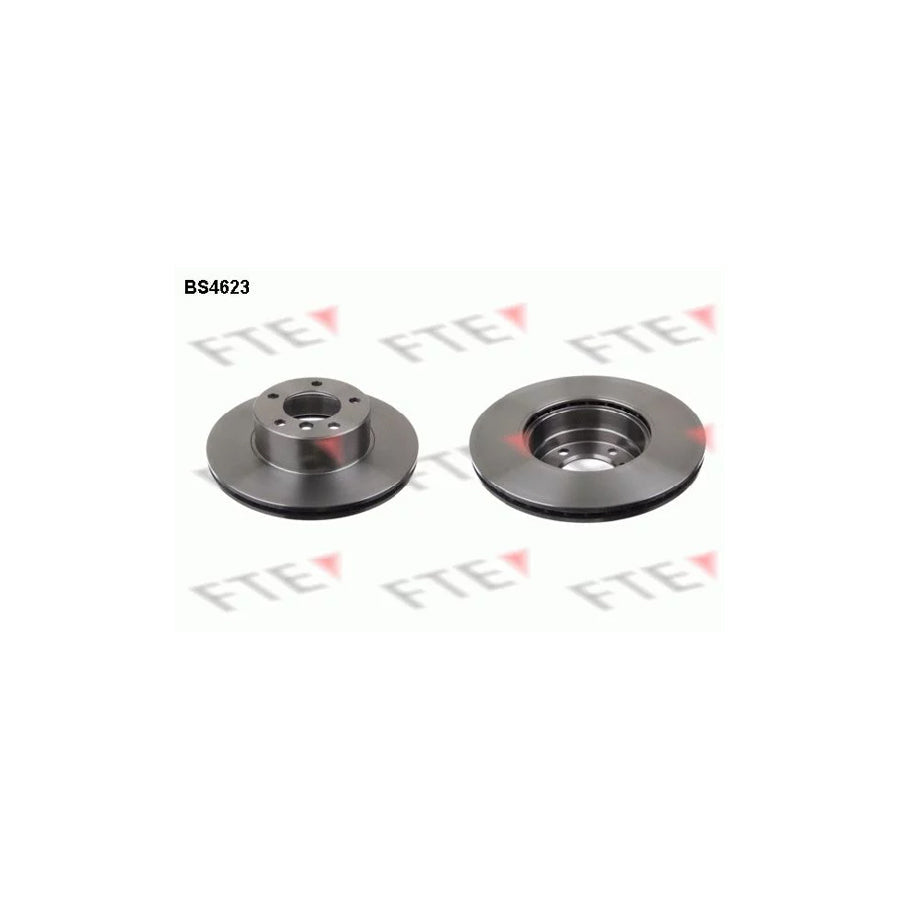FTE Bs4623 Brake Disc for BMW 5 Series