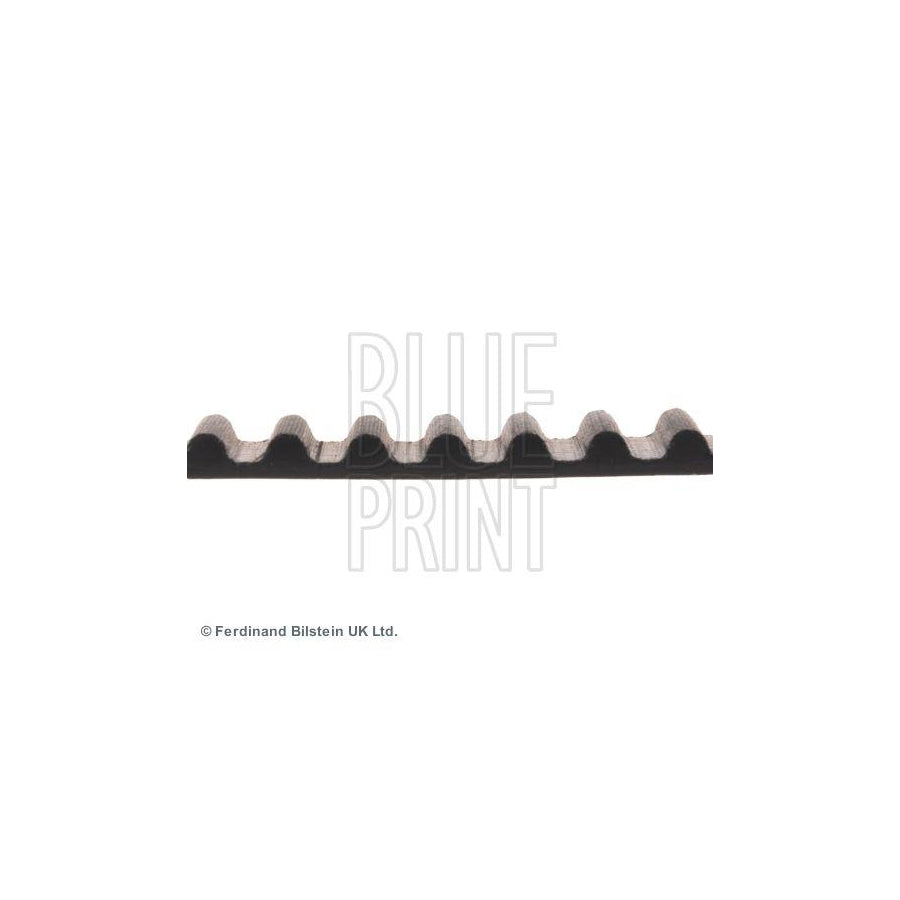 Blue Print Adg07504 Timing Belt