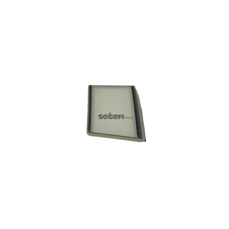 Fram CF9546 Pollen Filter