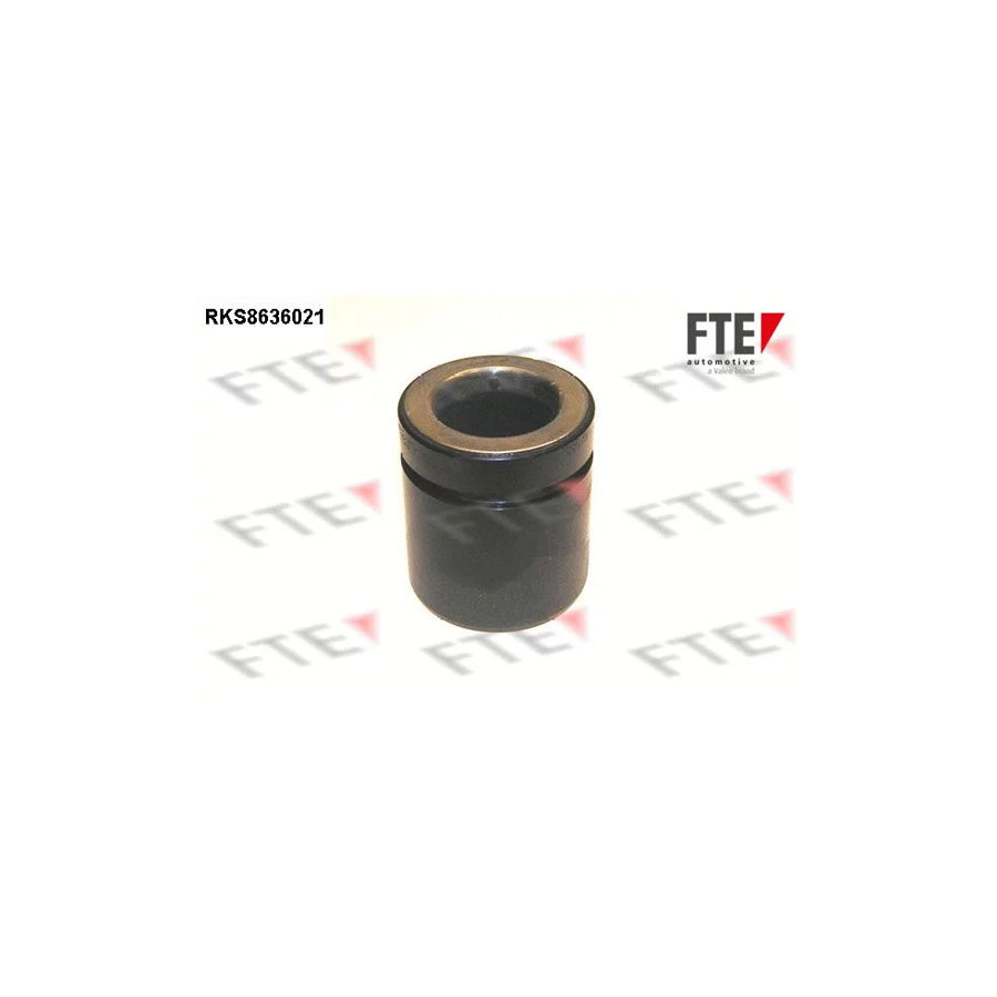FTE Rks8636021 Piston, Brake Caliper