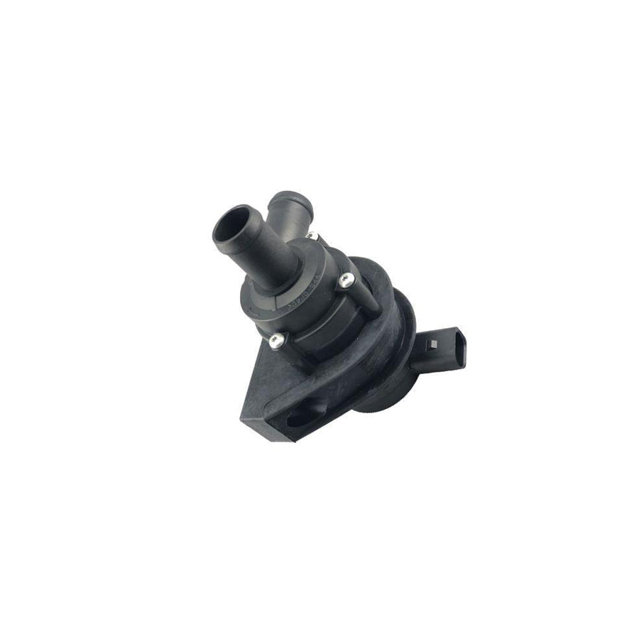 BUGIAD Bwp52001 Additional Water Pump