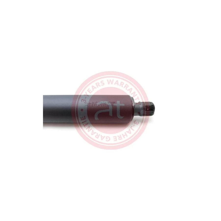 at autoteile germany At13186 Tailgate Strut for BMW X6 (E71, E72)