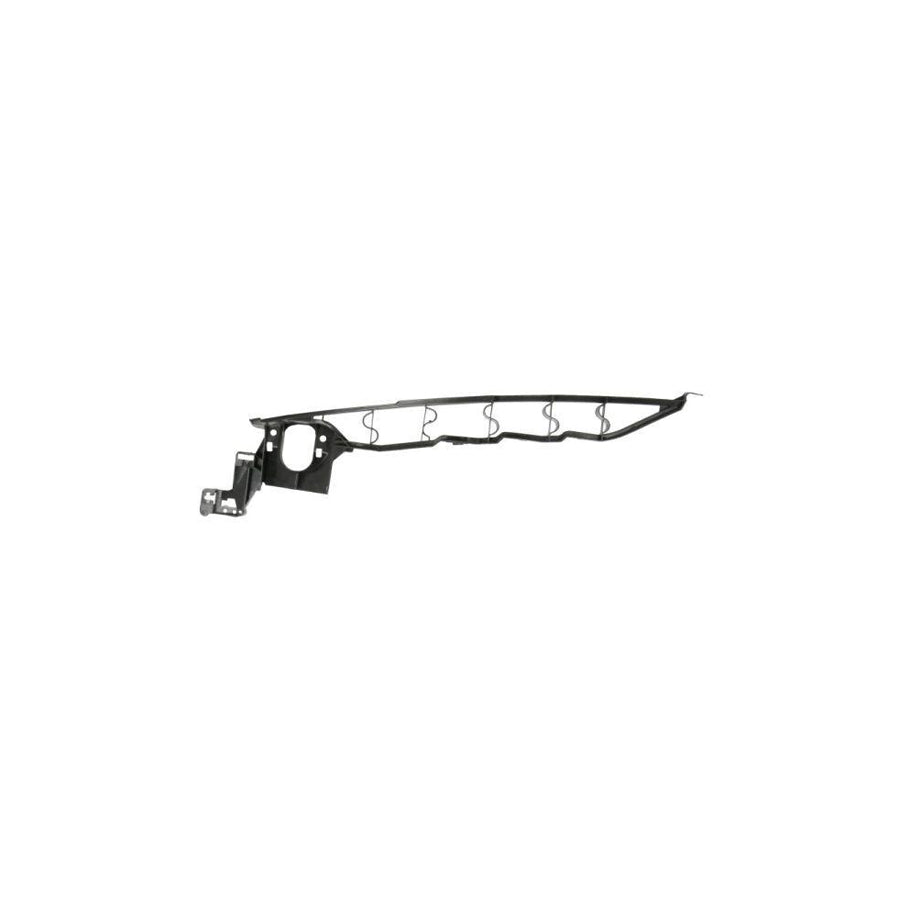 Blic 7802-03-0096383P Holder, Mudguard For BMW X5 (E70)