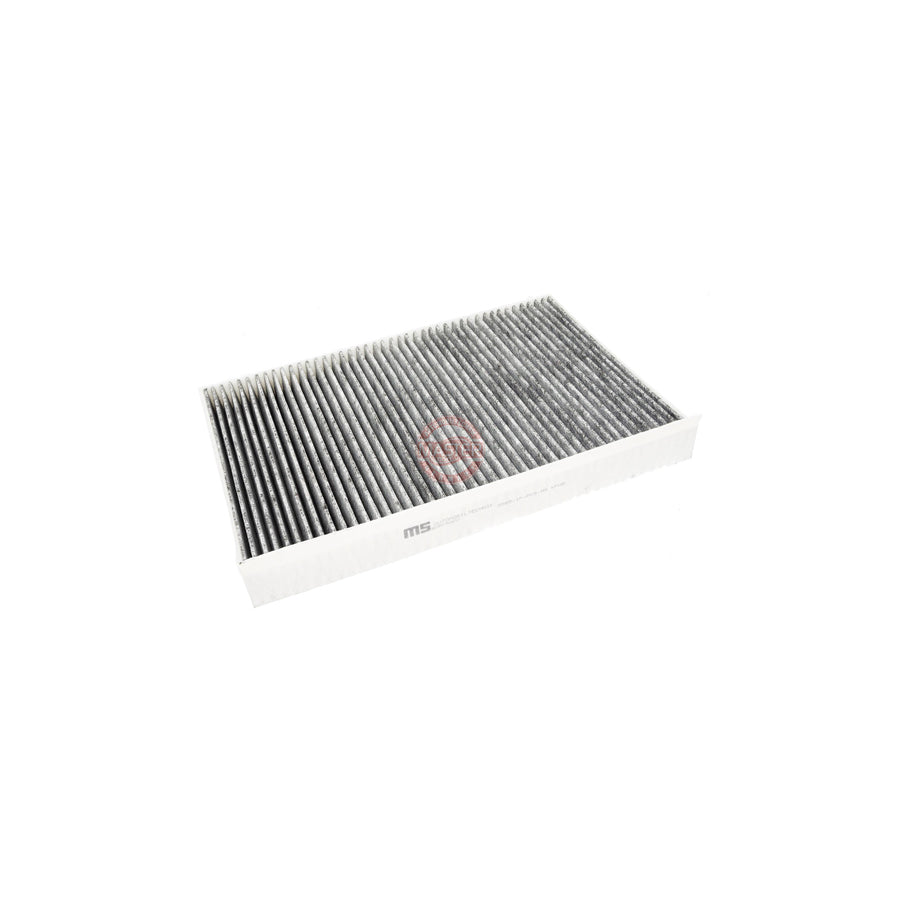 Master Sport 3569-IF-PCS-MS Pollen Filter