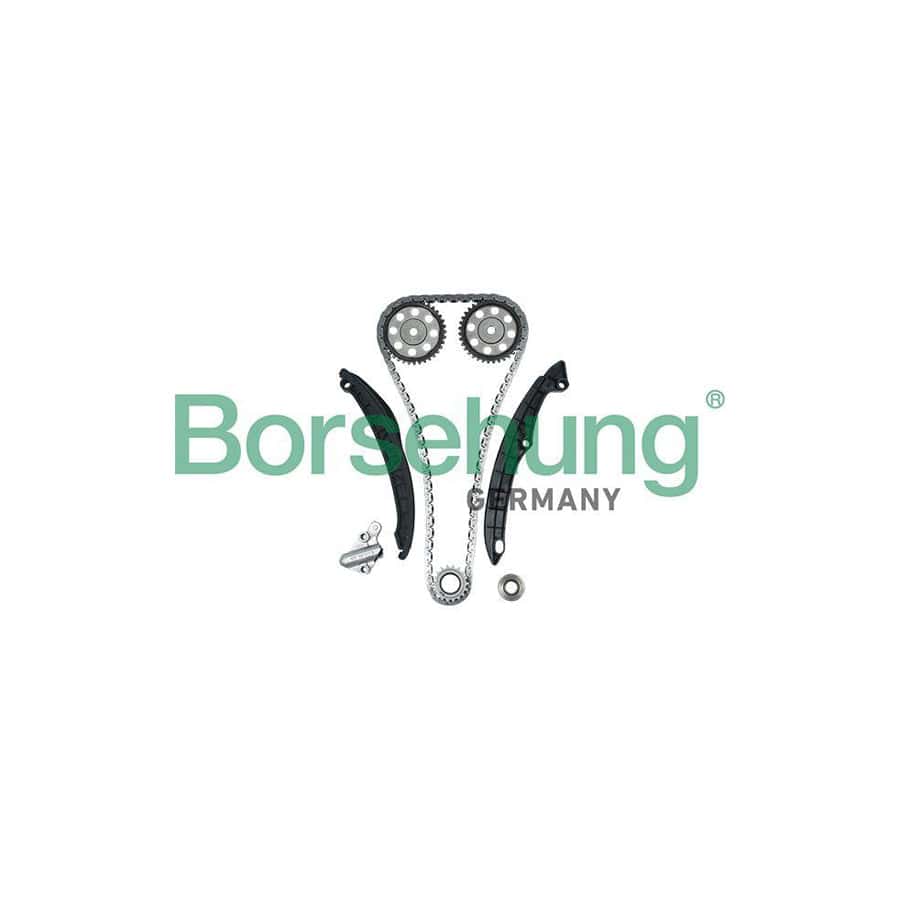 Borsehung B16300 Timing Chain Kit