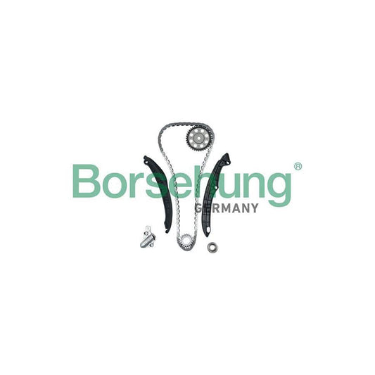 Borsehung B16299 Timing Chain Kit