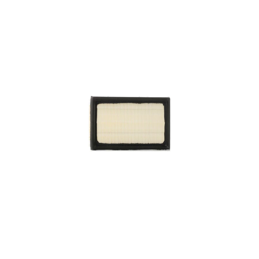 Ridex 8A0462 Air Filter