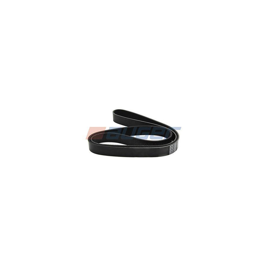 Auger 80096 V-Ribbed Belt